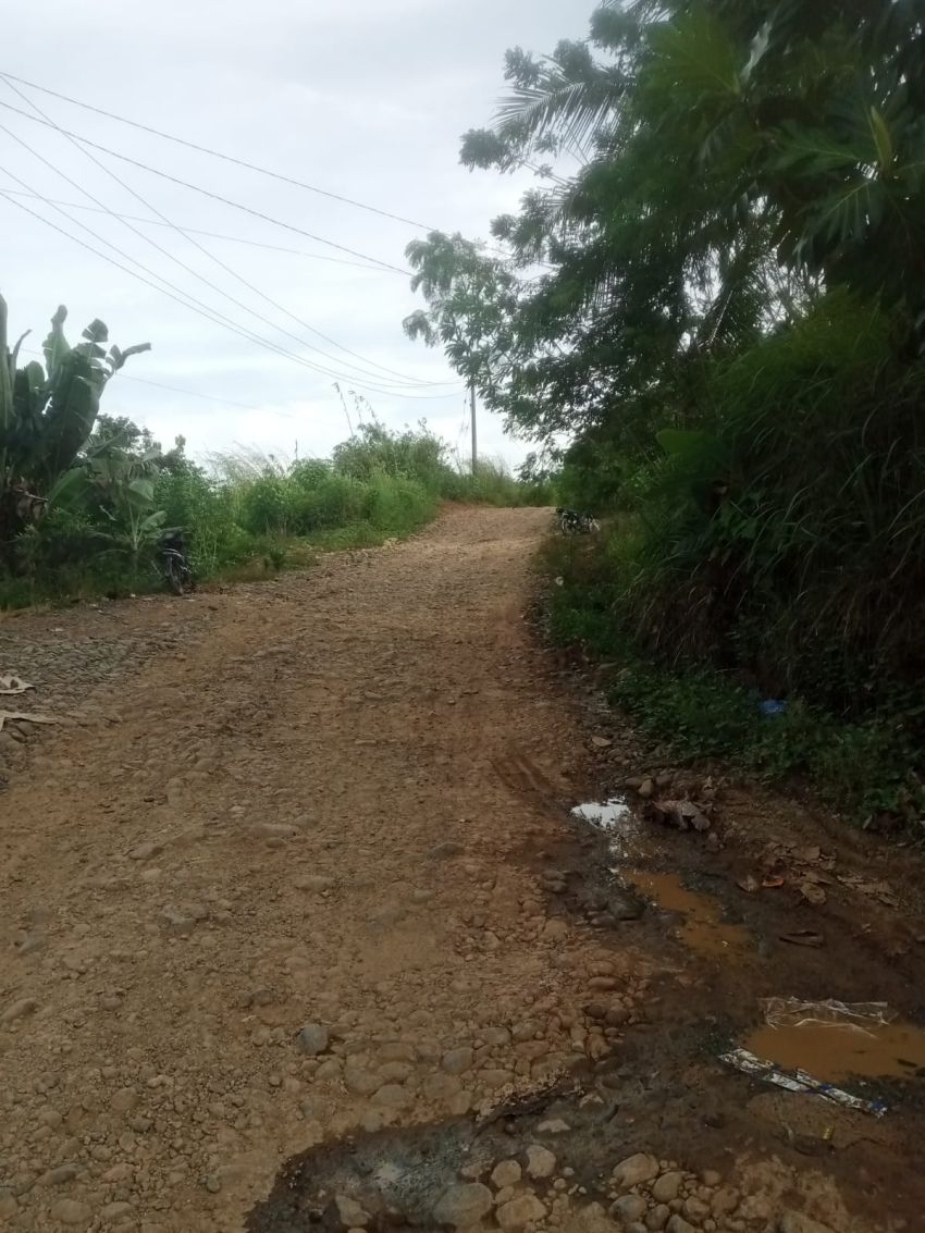 Kondisi Jalan Sipiongot - Hutaimbaru Sempit dan Memprihatinkan