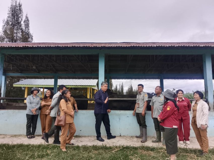 Wabup Taput Deni Lumbantoruan Tinjau Pengembangan Bibit Ternak Unggul di BPTU-HPT Siborongborong