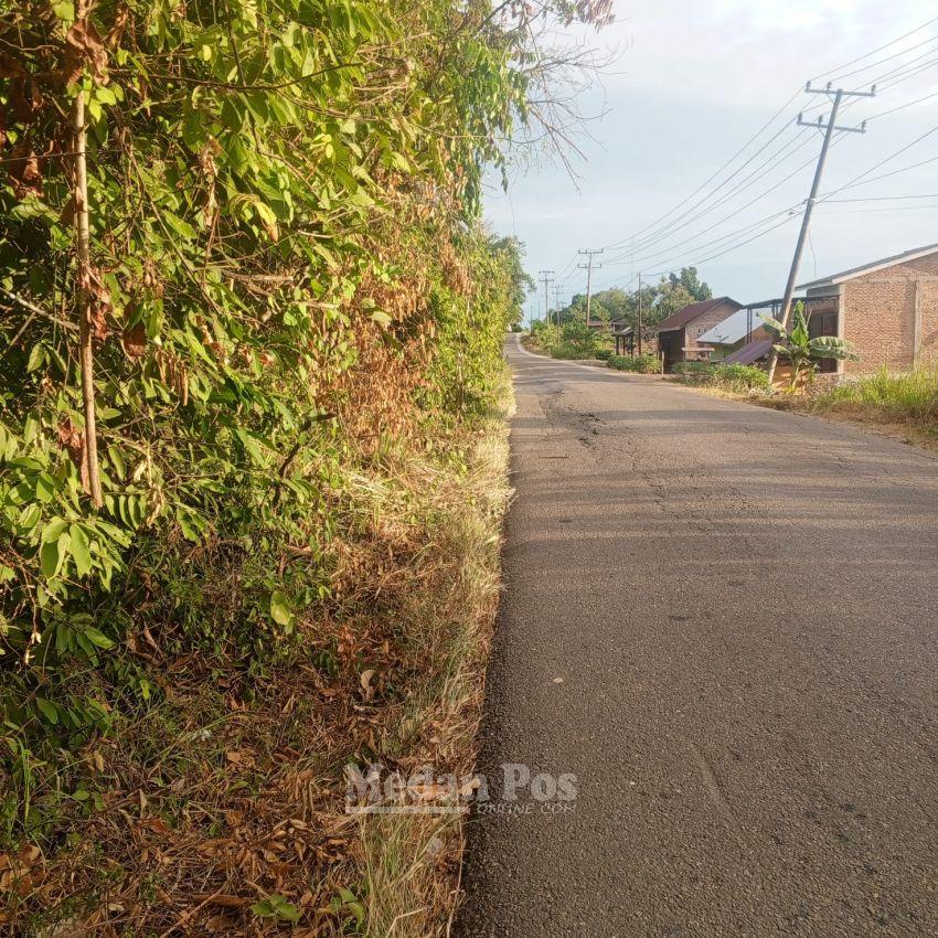 Pembabatan DAMIJA di Jalur Binanga&ndash;Sibuhuan Dikerjakan Asal Jadi