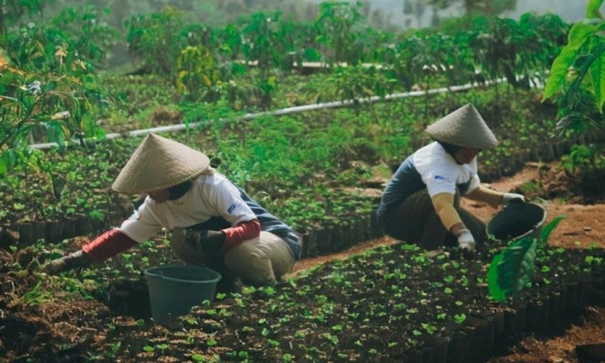 Astra Dukung Pemberdayaan Ekonomi Desa Petani Kopi Garut