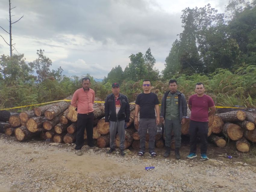 Polres Humbahas Selidiki Penebangan Kayu di Kawasan Hutan Lindung