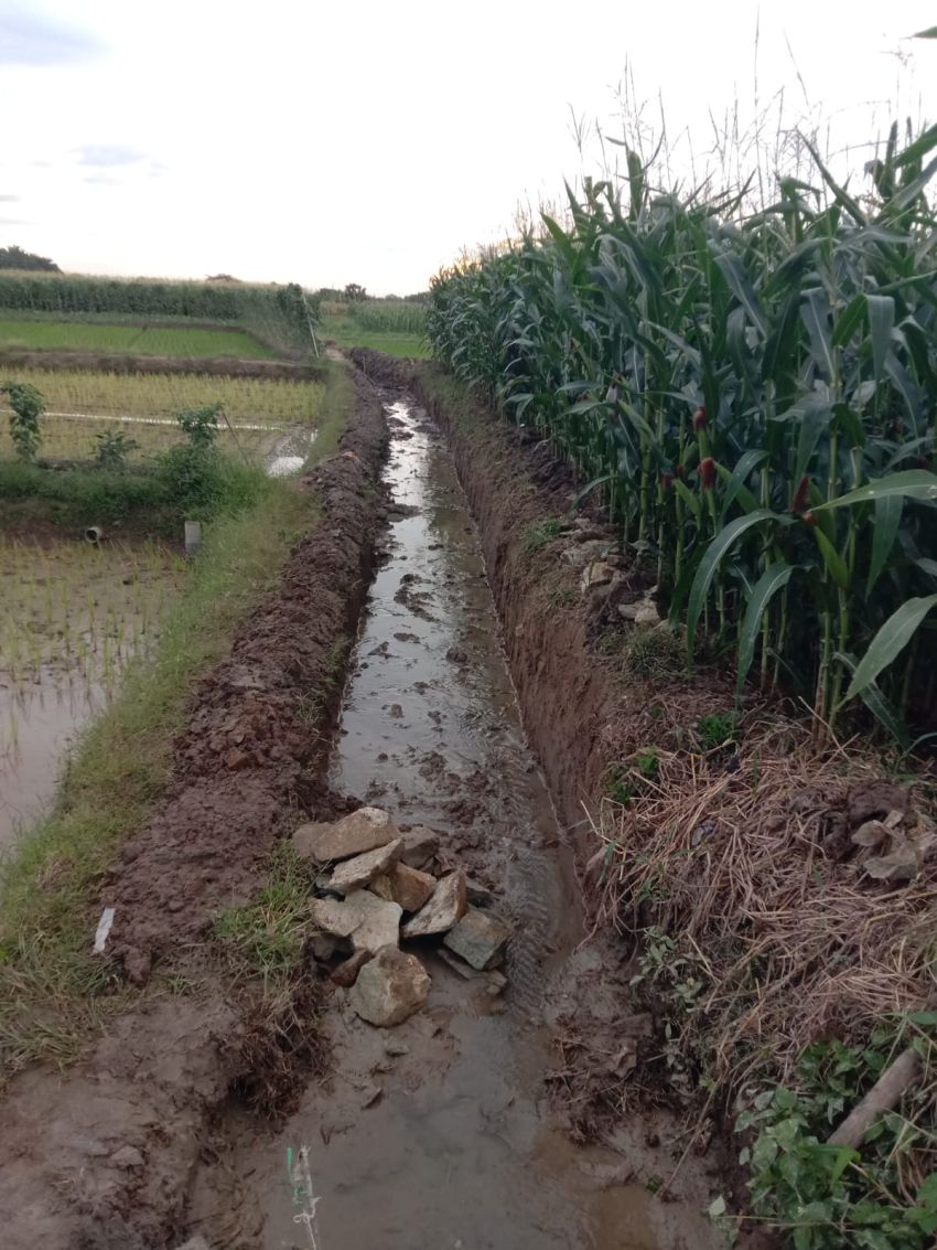 APH Diminta Proaktif, Plt Kadis Pertanian Tak Peduli Kualitas Proyek