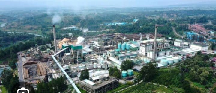 Toba Pulp Lestari Bantah Bisnisnya Jadi Sebab Kerusakan Lingkungan di Tapanuli