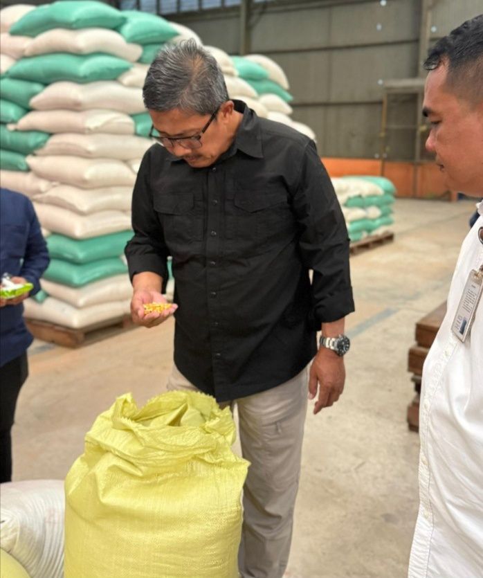 Bulog Siap Menyerap Gabah dan Jagung Hasil Panen Petani