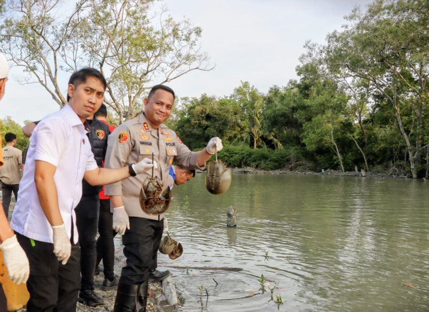 Polres Batu Bara Lepas 300 Ekor Blankas yang Disita Dari Gudang di Talawi