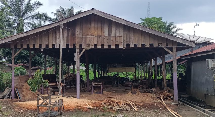 Ada Kilang Sawmill Di Kampung Pajak Labura, Bahan Kayu Diduga Dari Hutan Lindung