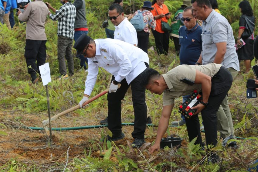 Penanaman Pohon Durian Langkah Strategis Merehabilitasi Lahan Rusak Terdampak Bencana di Tapanuli Utara
