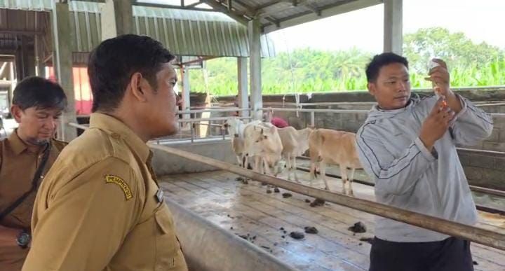 Antisipasi Wabah PMK, Pemko Binjai Vaksinasi Hewan Ternak Sapi