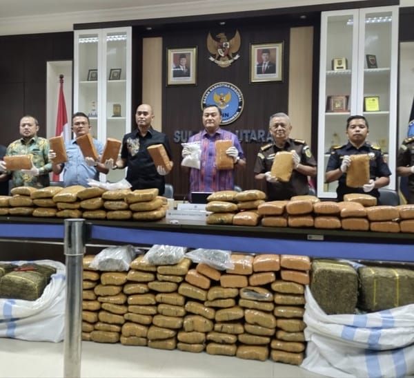 Ungkap 5 Kasus, BNN Sumut Musnahkan 204 Kg Ganja dan 1 Kg Sabu