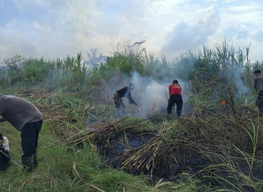 Sekelompok Penggarap Masuk Ke Lahan PTPN Bakar Dan Tanami Lahan, Timbulkan Asap Tebal.