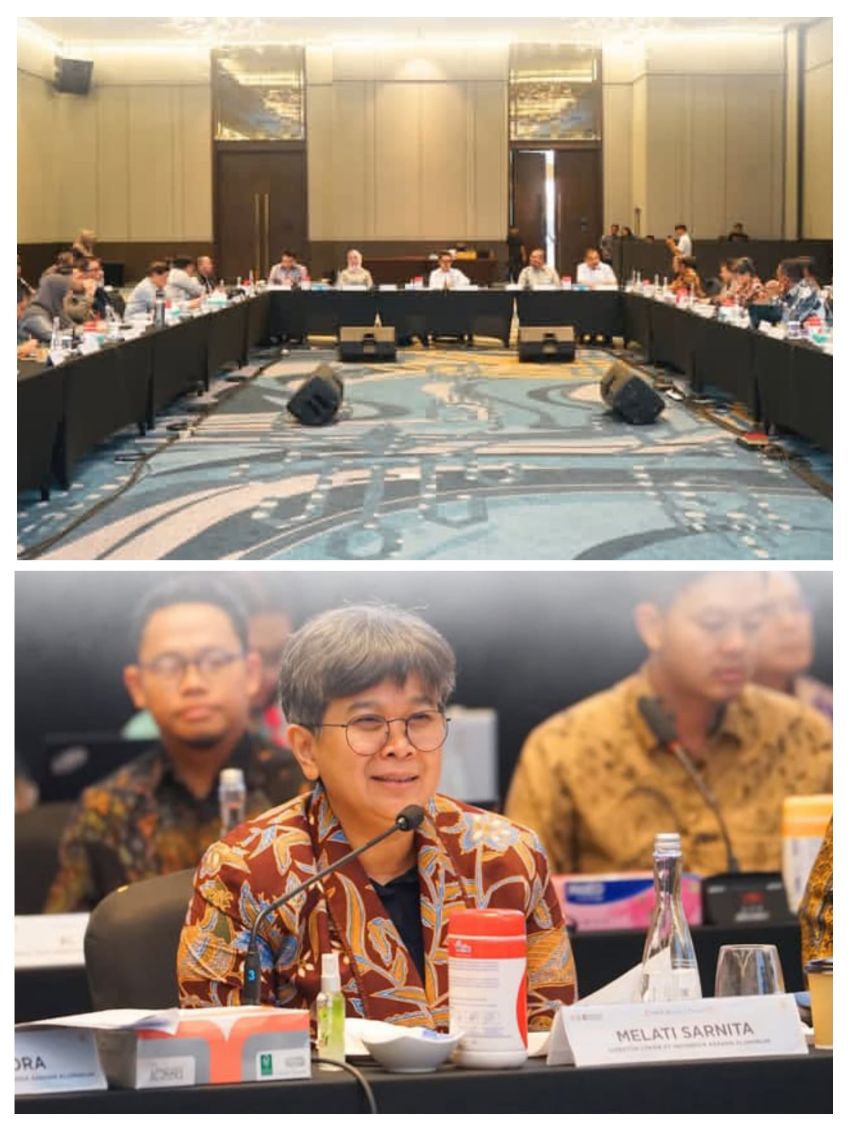 INALUM Paparkan Progres Smelter Aluminium Mempawah di Hadapan Komisi VI DPR RI